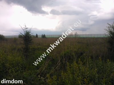 Rewelacja pod inwestycje, blisko A2, dobry kształt - 5