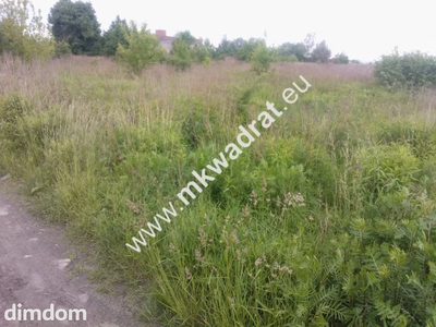 Rewelacja pod inwestycje, blisko A2, dobry kształt - 3