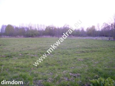 Dobra Inwestycja # zieleń # spokój