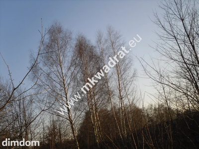 Spokojnie # rodzinnie # pięknie - 2