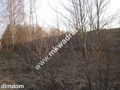 Spokojnie # rodzinnie # pięknie - 3