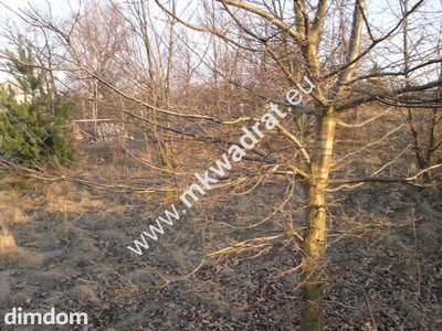 Spokojnie # rodzinnie # pięknie - 4