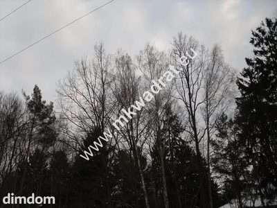 Spokojnie # rodzinnie # pięknie - 5