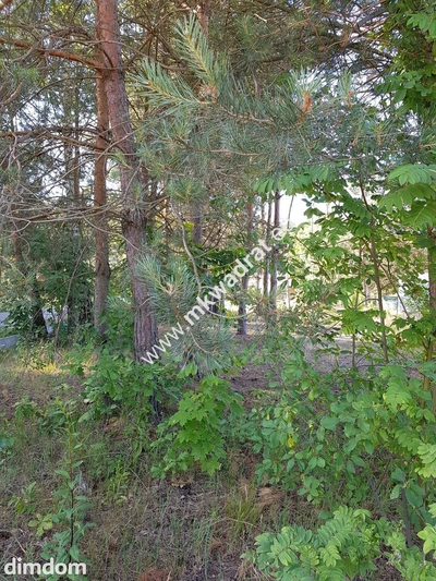 Działka budowlana 1053 m² prostokątna, media Warto