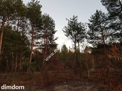 Działka budowlana 1053 m² prostokątna, media Warto - 2