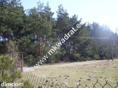 Żółwin piękny grunt pod zabudowę jednorodzinną - 2