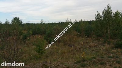 Piękny teren pod rzemiosło uciążliwe. - 4