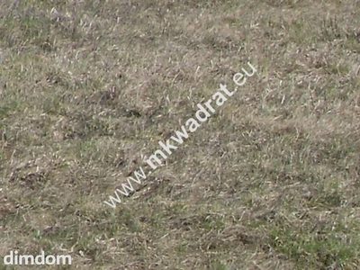 Przepiękna działka w Żelazowej Woli - 4