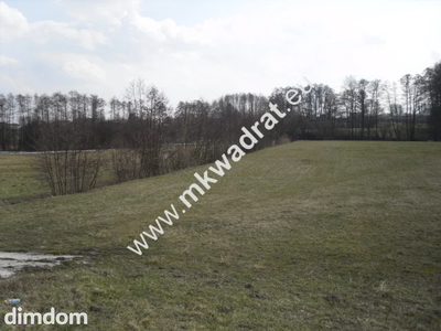 Przepiękna działka w Żelazowej Woli - 3