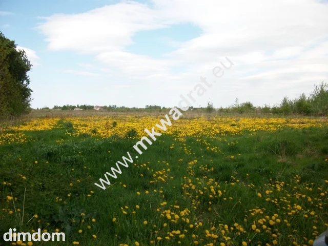 Kształtna działka, dobra cena, dojazd asfaltowy - 67274435.jpg