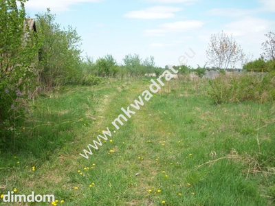 Kształtna działka, dobra cena, dojazd asfaltowy - 3