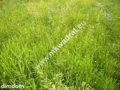 Niższa cena -polecam. - 3