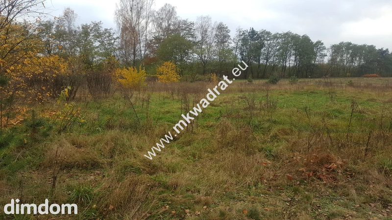 Inwestycyjno-budowlana przy 719 Brwinów  WZ - 78521427.jpg