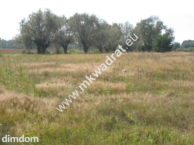 Działka siedliskowa - 68577892.jpg