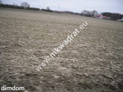 Działki pod mini osiedle Kampinos - Pasikonie - 5