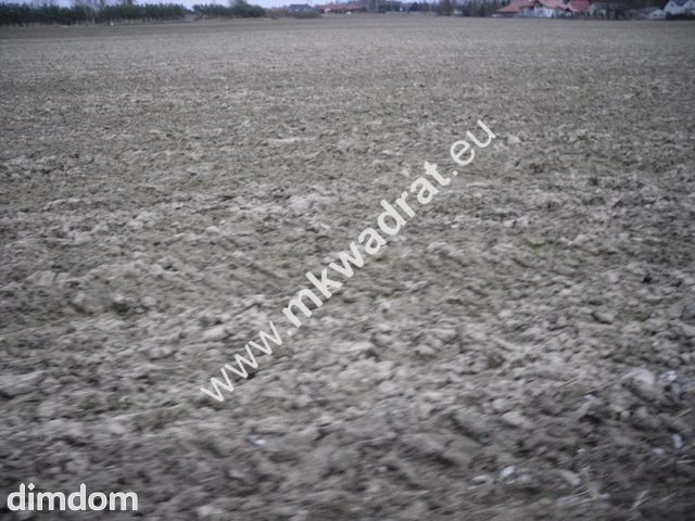 Działki Kampinos/Pasikonie pod mini osiedle - 69170625.jpg
