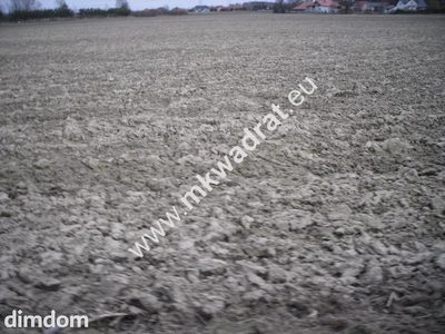 Działki Kampinos/Pasikonie pod mini osiedle - 4