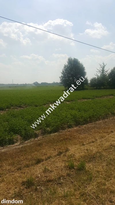 Działka Kopytów - 2