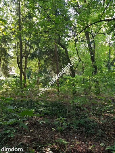 CIEKAWA działka w ścisłym centrum Podkowy L. - 4