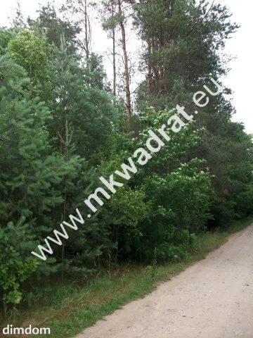 Urokliwa działka siedliskowa 27.500m2