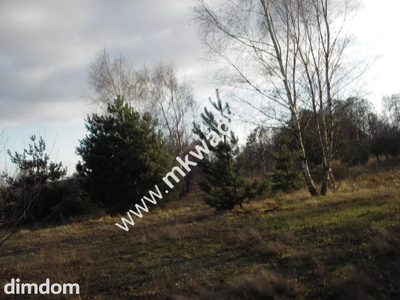 Żółwin 20.611m2 działka z domem