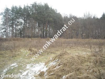 Działka w okolicy zalewu - 3