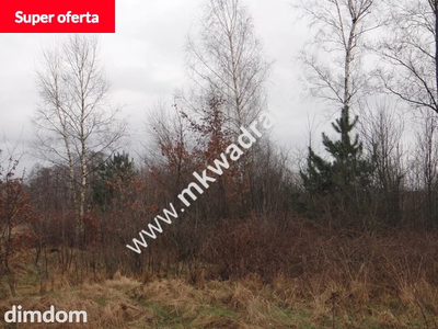 Oferta dla inwestorów duża powierzchnia