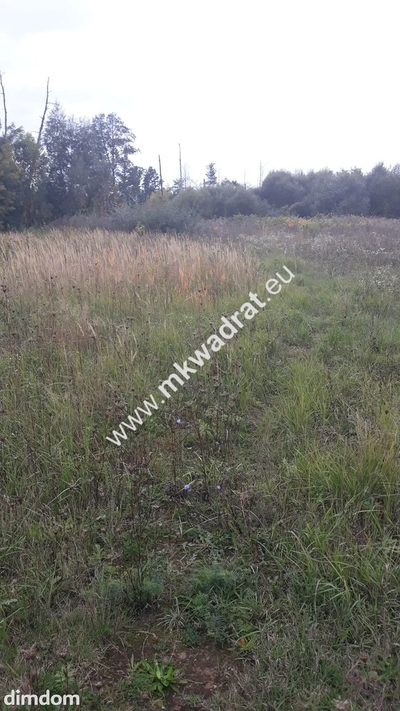 Działka siedliskowa