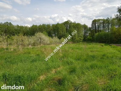 Działka z dostępem do rzeczki | możliwość podziału - 4