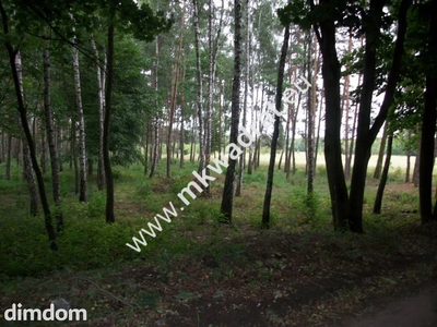 Działka rolna 13 600 m² Żabia Wola