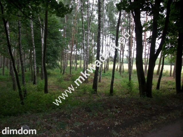 Działka rolna 13 600 m² Żabia Wola - 73018115.jpg