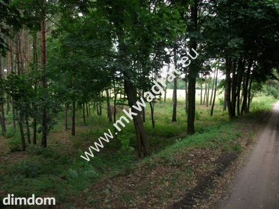 Działka rolna 13 600 m² Żabia Wola - 2