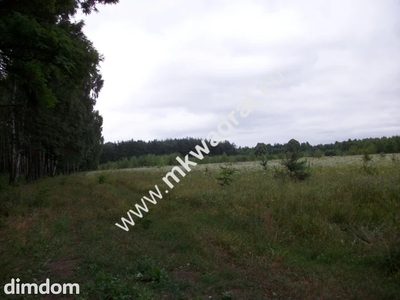 Działka rolna 13 600 m² Żabia Wola - 3