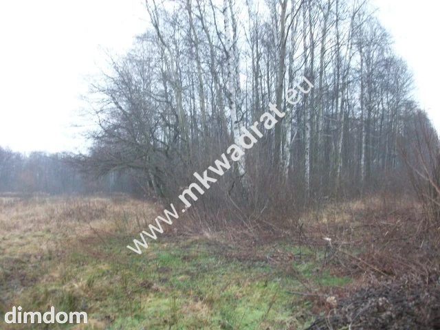 Działka leśna 8660 m² Piotrkowice - 73018140.jpg