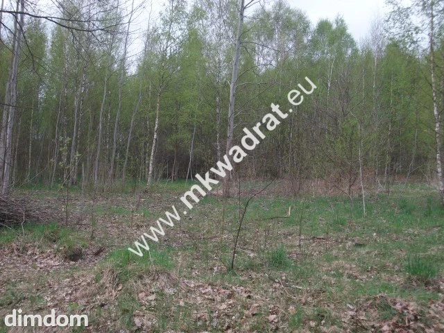 Działka budowlana 27 000 m² Bukówka - 73018148.jpg