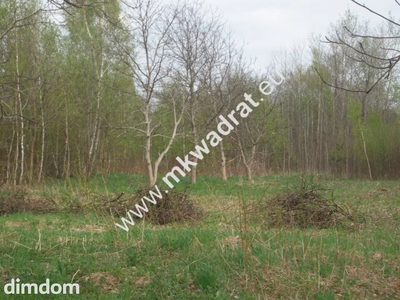 Działka budowlana 27 000 m² Bukówka - 2
