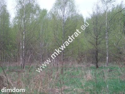 Działka budowlana 27 000 m² Bukówka - 3