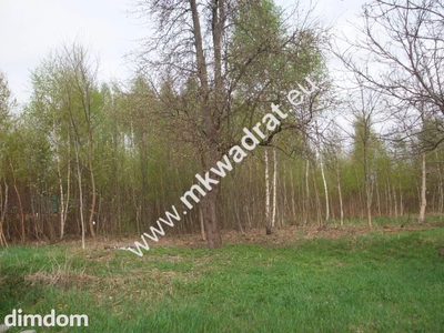 Działka budowlana 27 000 m² Bukówka - 4