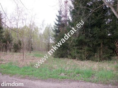 Działka budowlana 4700 m2 Grzmiąca