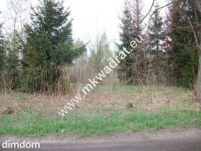 Działka budowlana 4700 m2 Grzmiąca - 3