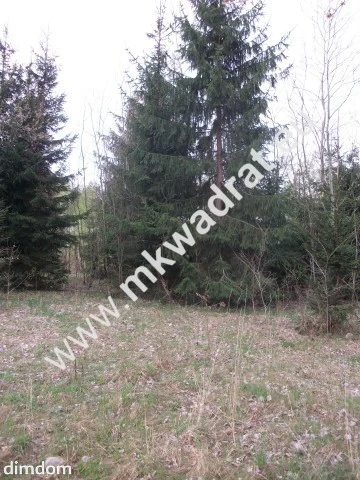 Działka budowlana 4700 m2 Grzmiąca - 5