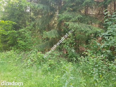 Działka 5000 m² Piotrkowice - 4