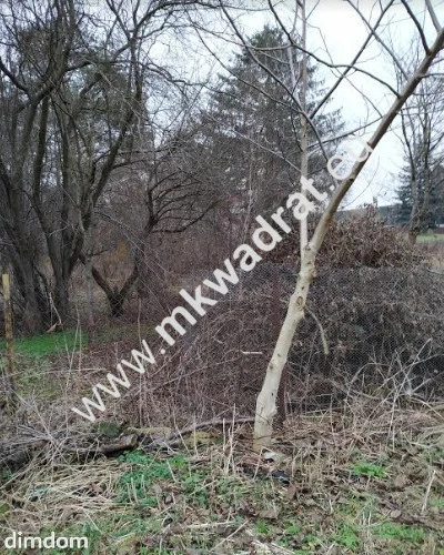 Zielony Ursynów - działka 1378 mkw - 2