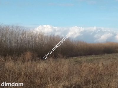 WYJĄTKOWY TEREN W MILANÓWKU - 4