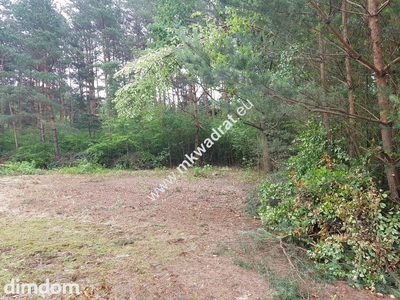 Okolice Grodziska Maz 1600m2 od mkwadrat.eu
