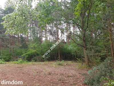 Okolice Grodziska Maz 1600m2 od mkwadrat.eu - 3