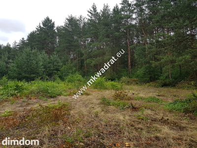 Okolice Grodziska Maz 1600m2 od mkwadrat.eu - 4
