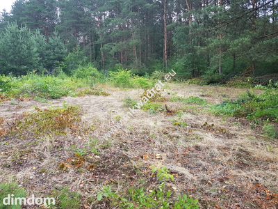 Okolice Grodziska Maz 1600m2 od mkwadrat.eu - 5