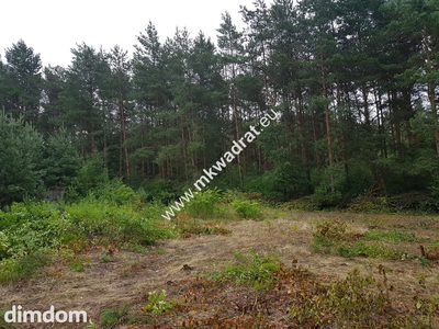 Okolice Grodziska Maz 1600m2 od mkwadrat.eu - 2