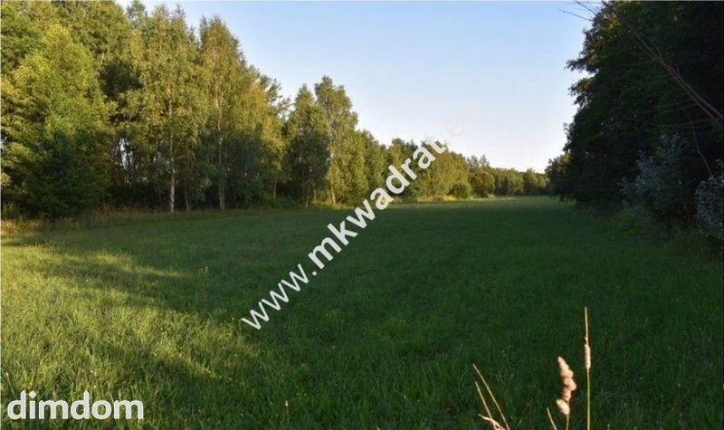 Bardzo interesująca oferta Żabia Wola - 86698271.jpg